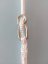 Aerial Hoop 95 cm s provazem a karabinami, zlatý